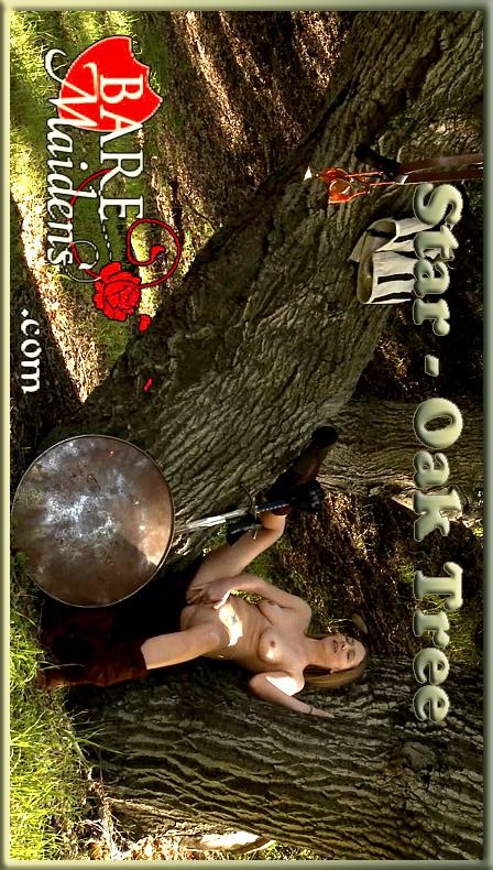 Star - `Oak Tree` - for BARE MAIDENS Star - `Oak Tree` - for BARE MAIDENS